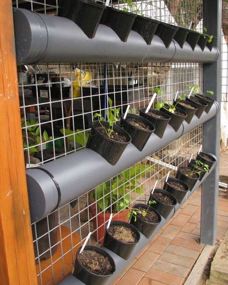 Easy Hydrophonic Garden Ideas