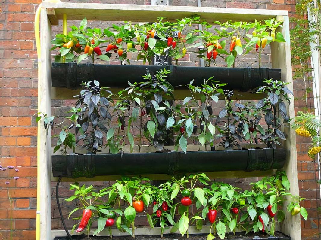Vertical Garden Diy