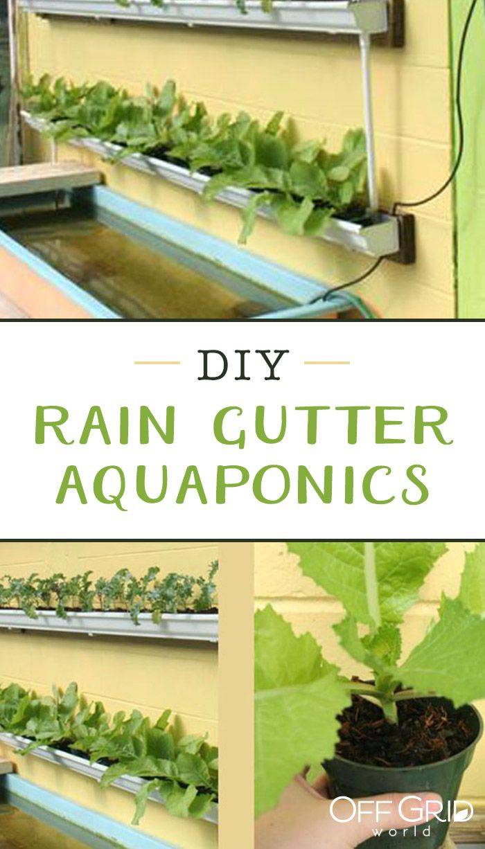 Security Check Required Grow System