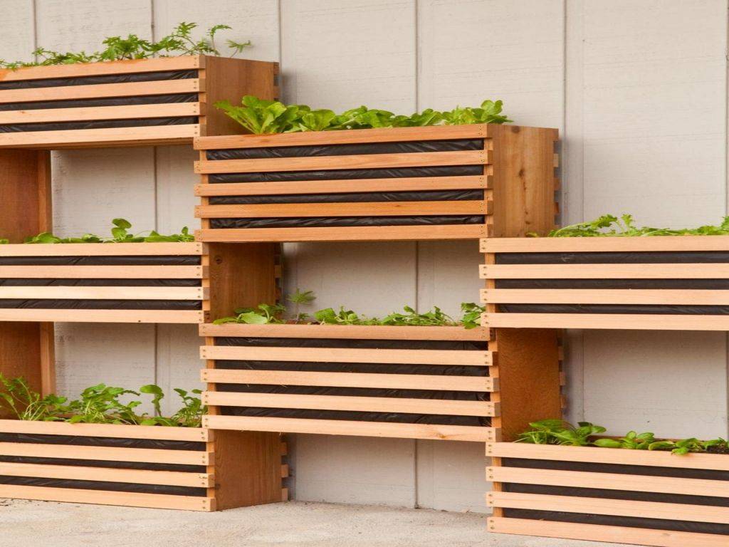 Vertical Garden Edition