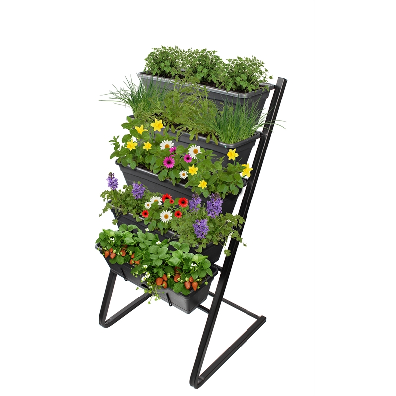 Small Space Gardening