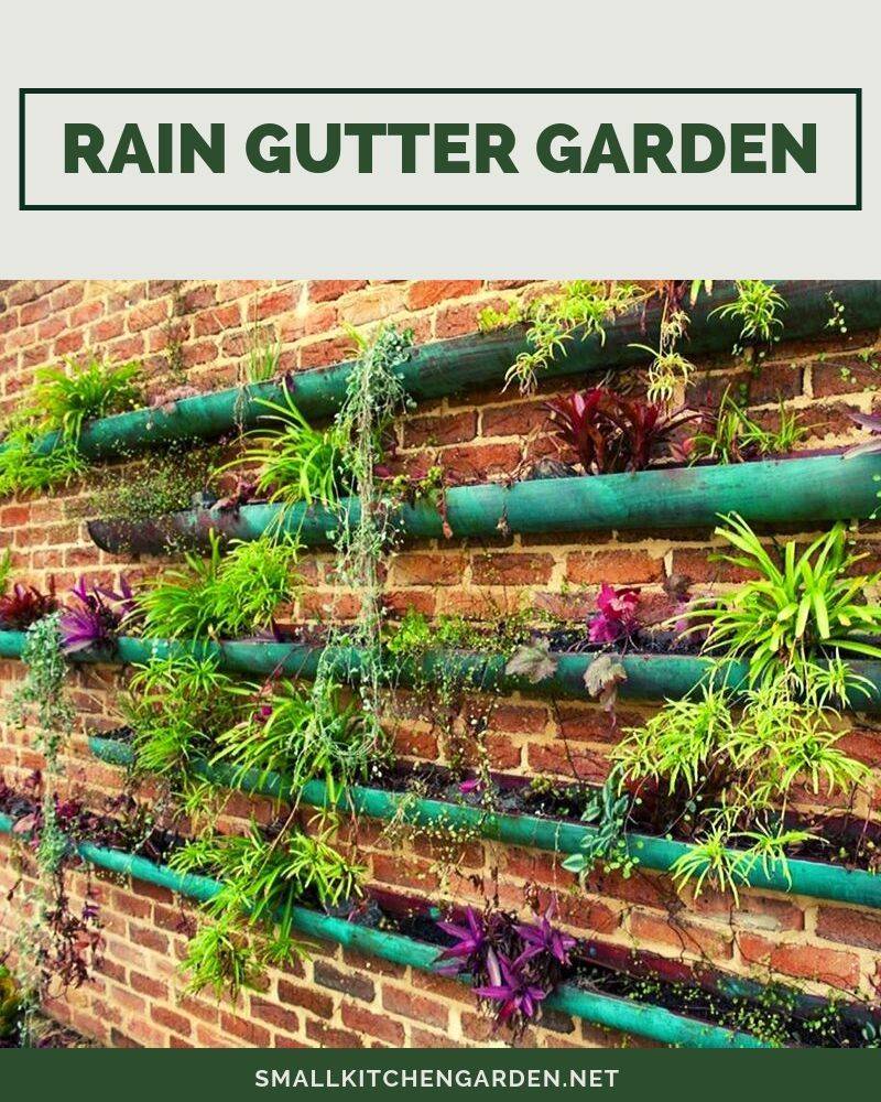 Vertical Diy Rain Gutter Garden Ideas