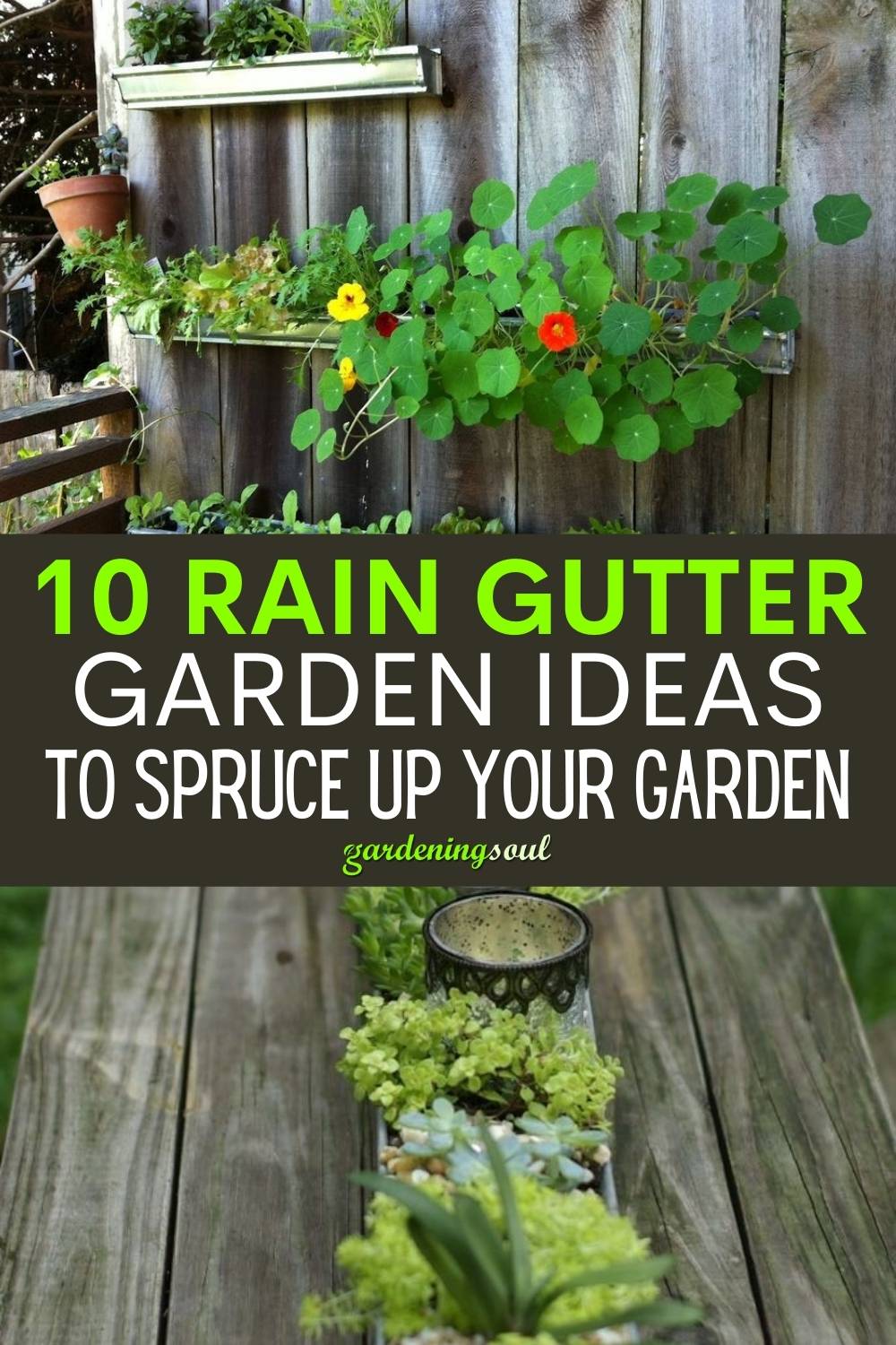 Easy And Neat Rain Gutter Garden Ideas
