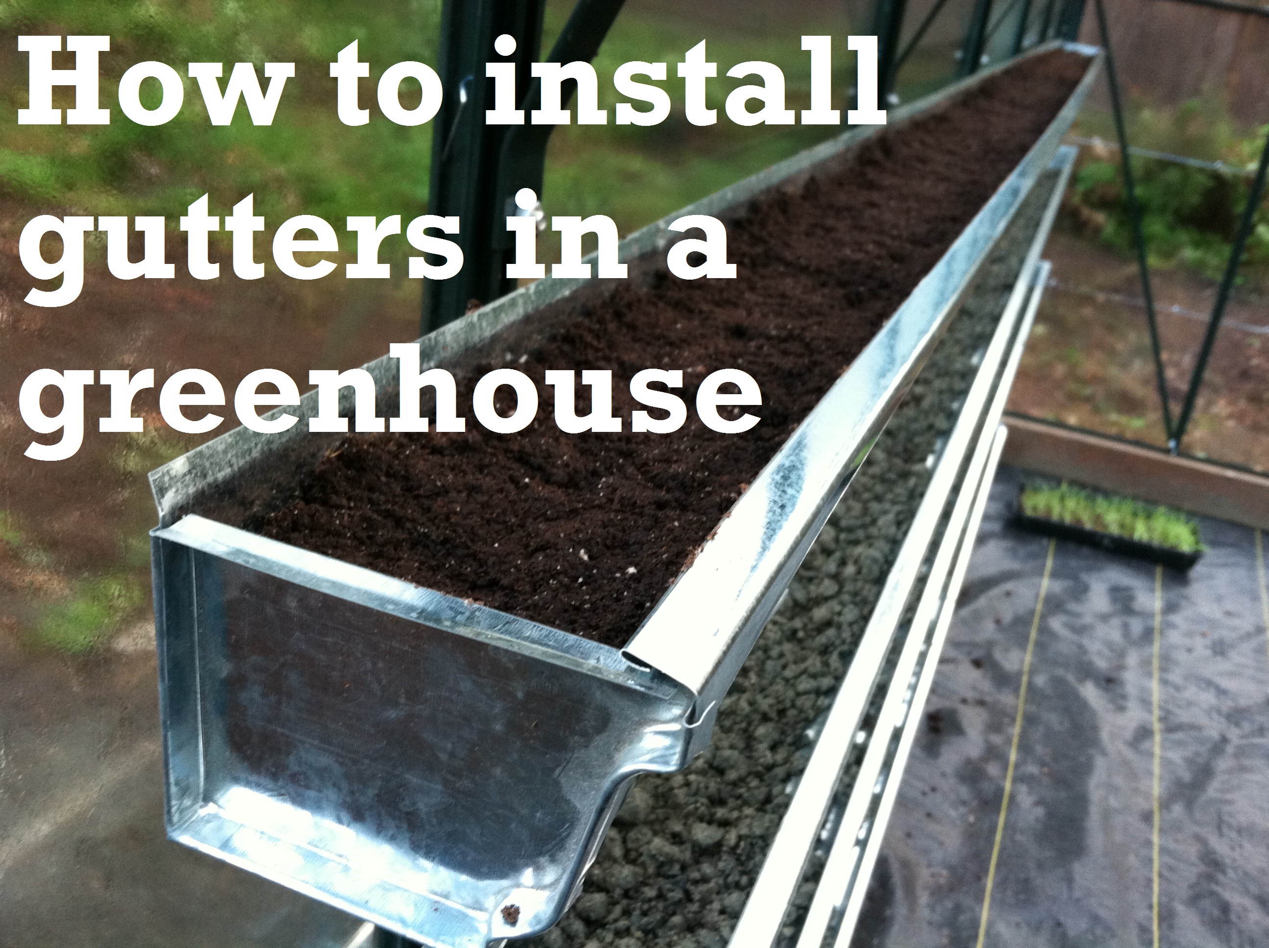 Rain Gutter Gardens Gutter Garden