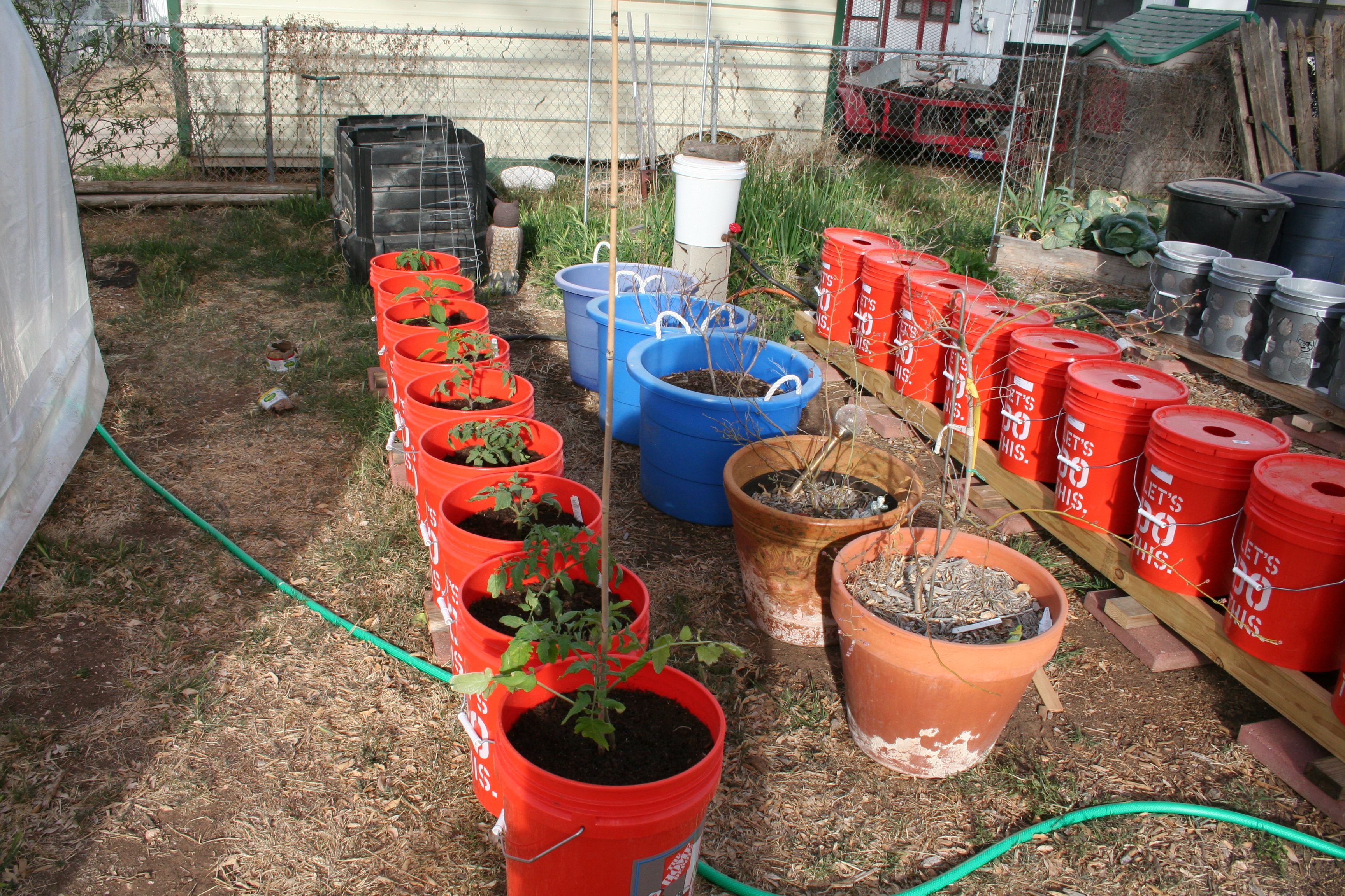 Vertical Vegetable Gardens