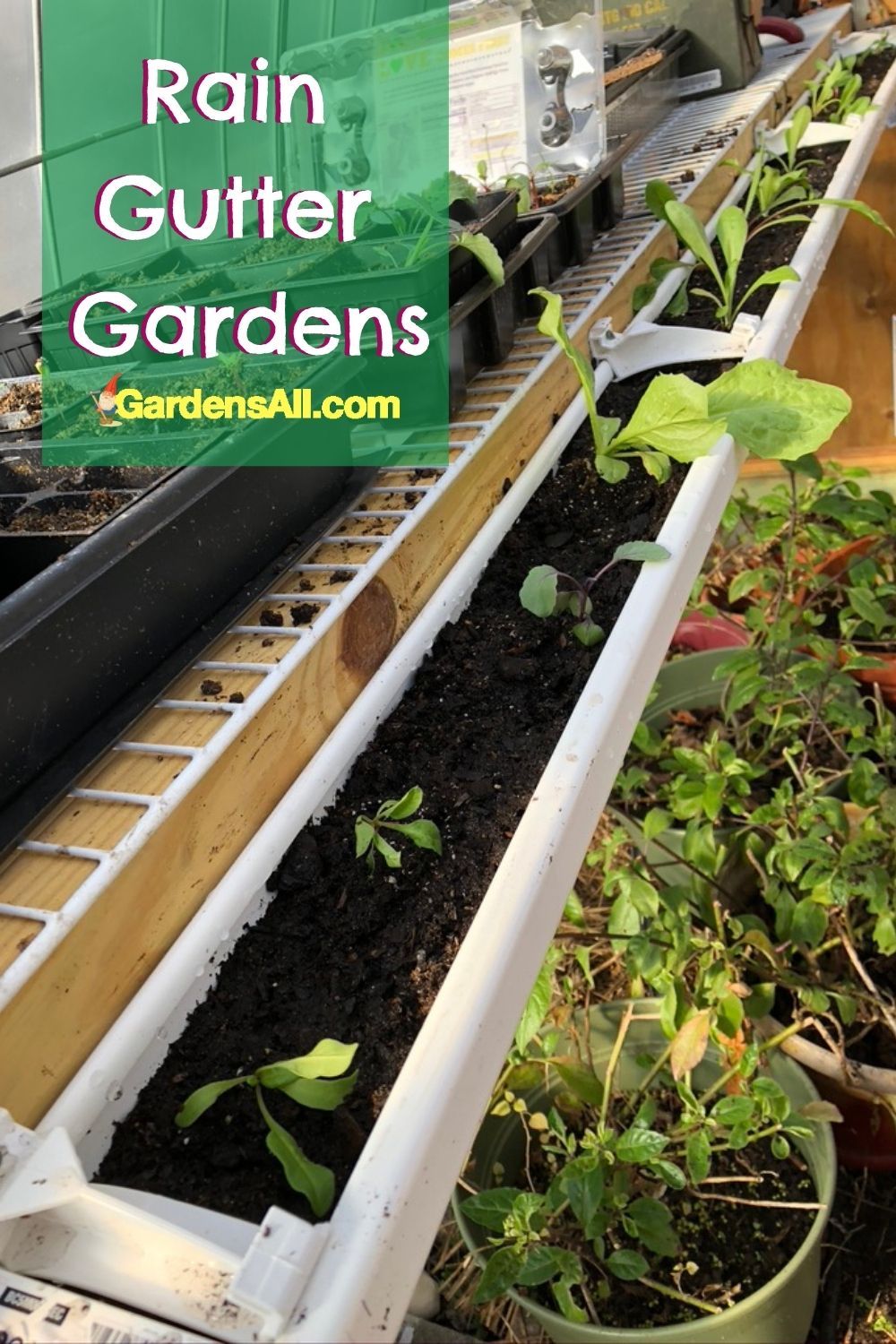 Unique Gutter Garden Project