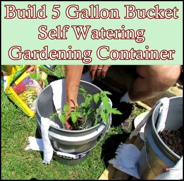 Brilliant Gallon Bucket Hacks