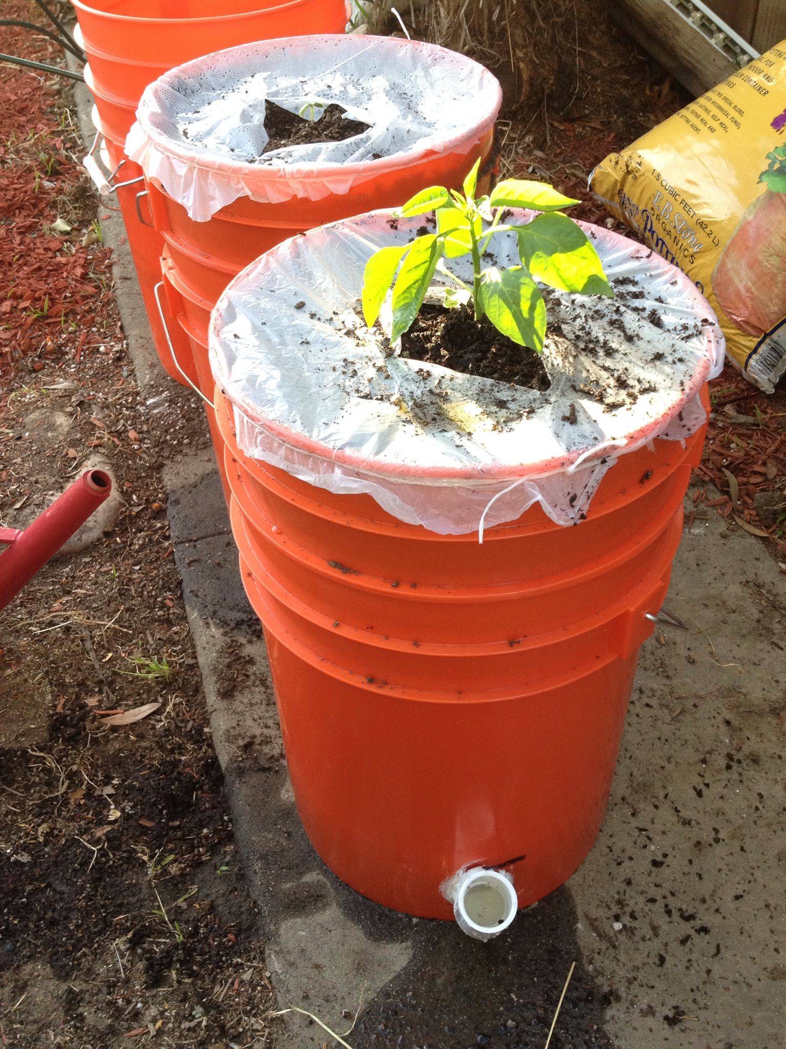 Gallon Bucket Garden Ideas
