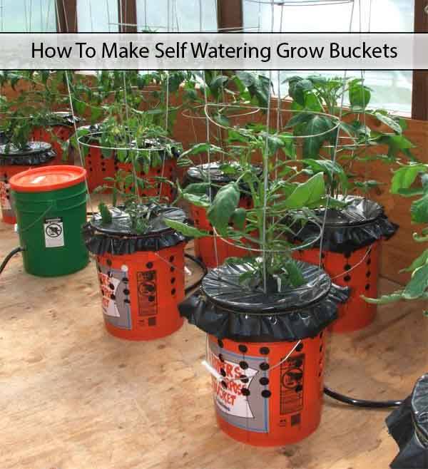 18 DIY Self Watering 5 Gallon Bucket Garden Ideas For This Year