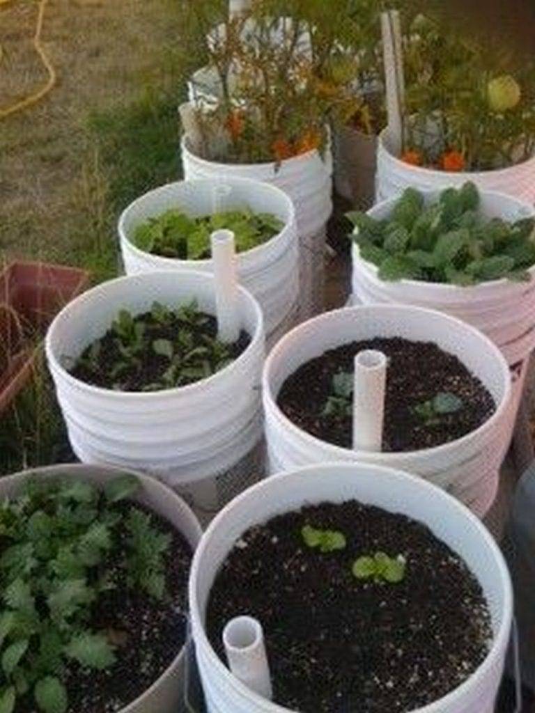18 DIY Self Watering 5 Gallon Bucket Garden Ideas For This Year