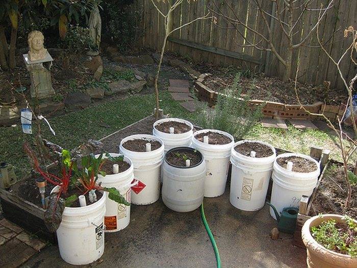 Build Gallon Bucket Self Watering Gardening Container