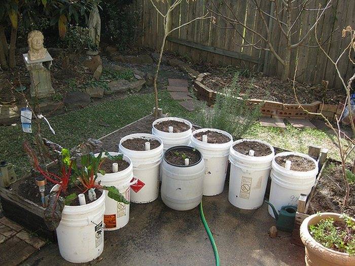 18 DIY Self Watering 5 Gallon Bucket Garden Ideas For This Year