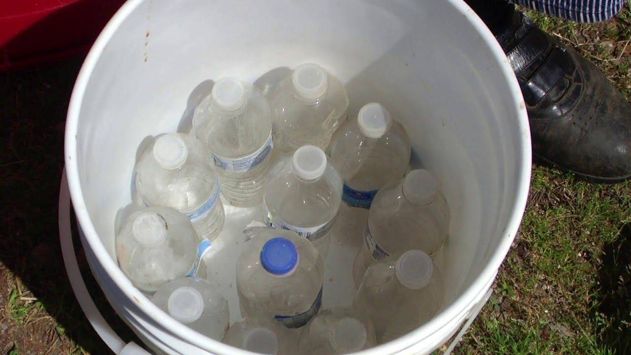 Diy Self Watering Alaska Grow
