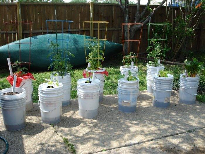 Bucket Gardening Ideas