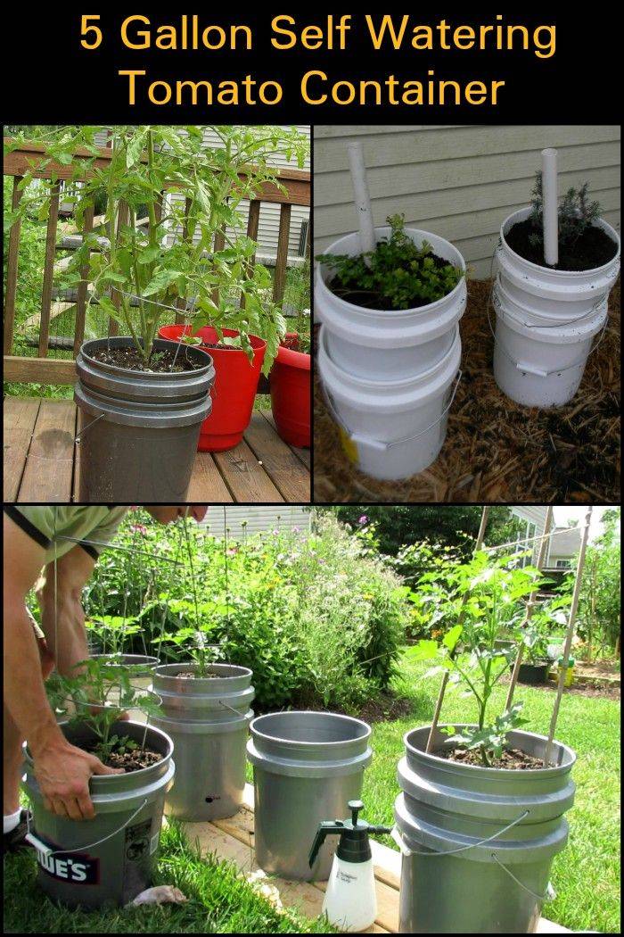 Container Gardening