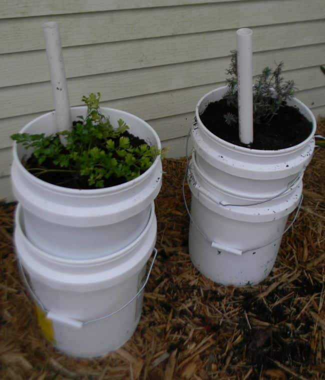 Selfwatering Subirrigated Planter Gardening