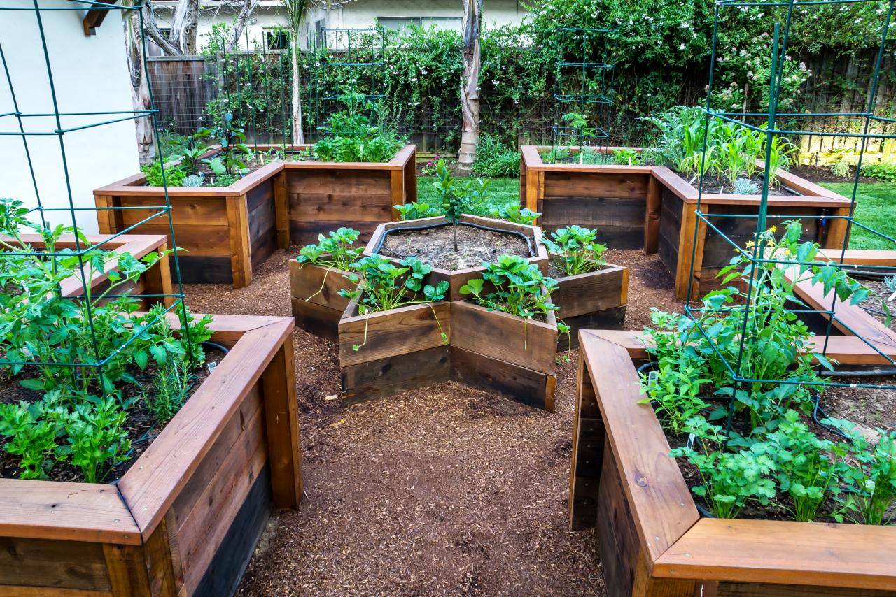 Four Raised Bed Design Ideas