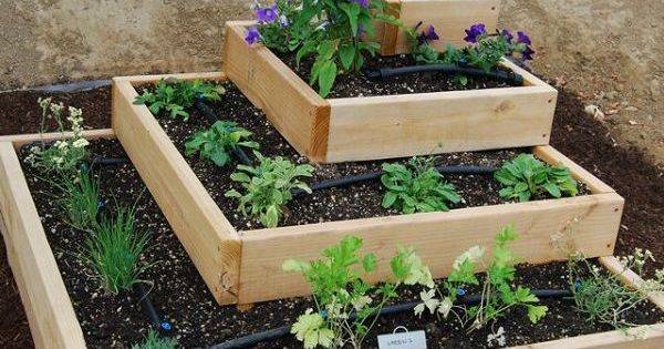 Raised Bed Strawberries