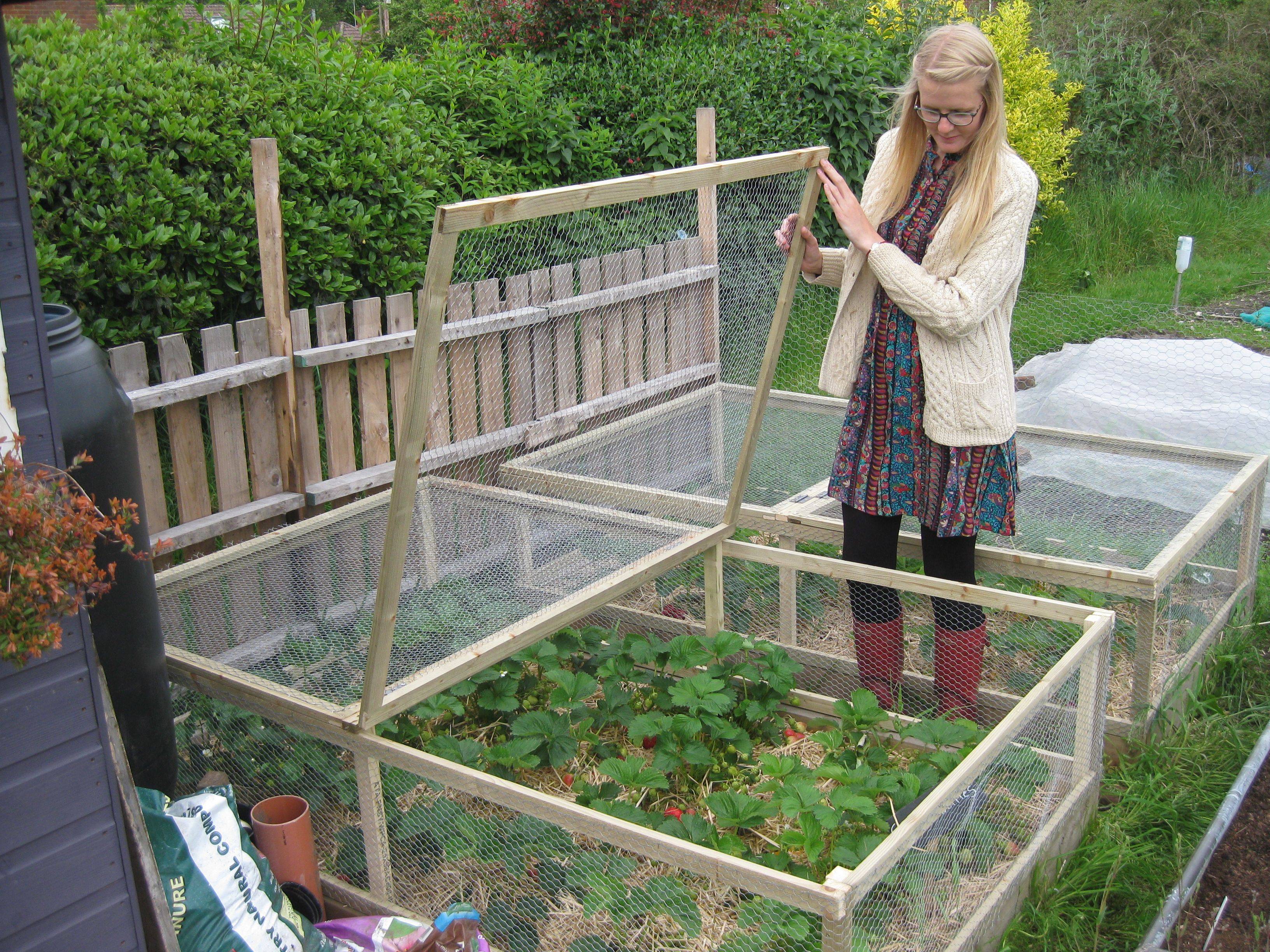 Raised Garden Beds