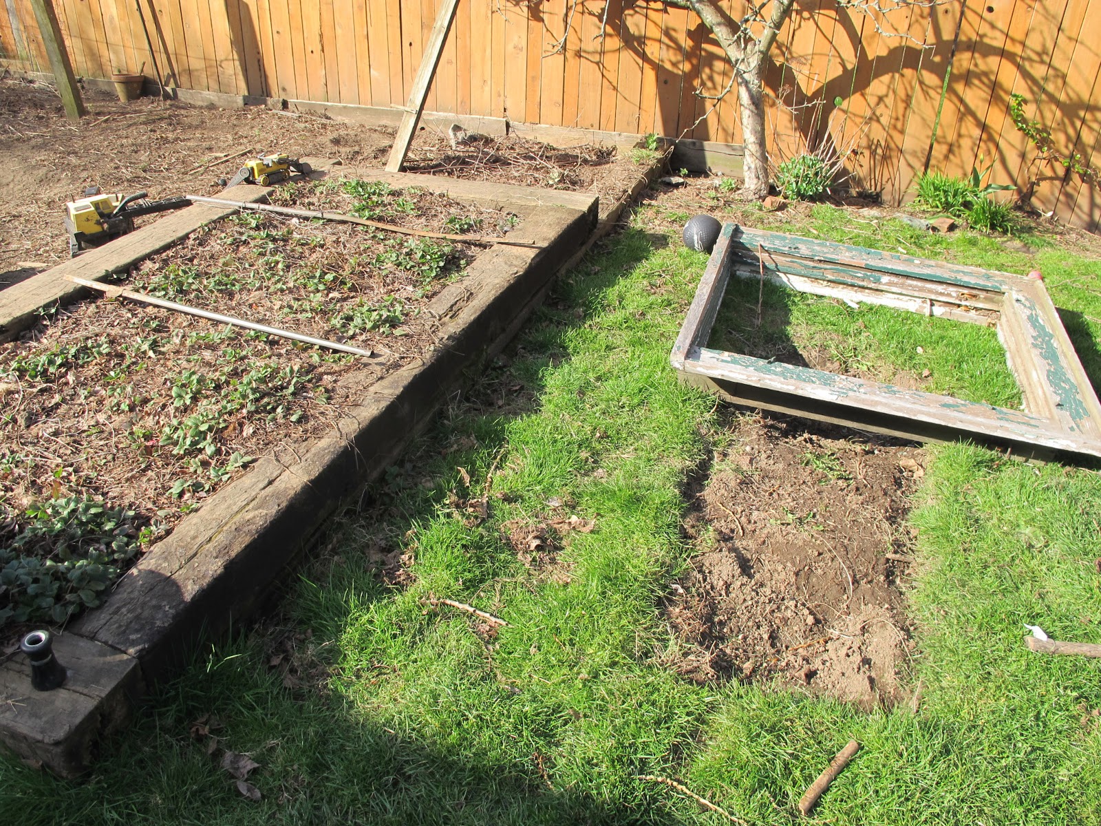 Raised Strawberry Bed