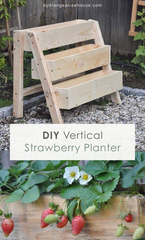 Vertical Strawberry Garden Part