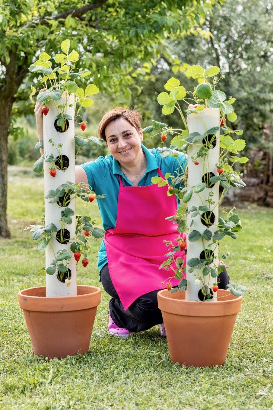 Strawberry Planter