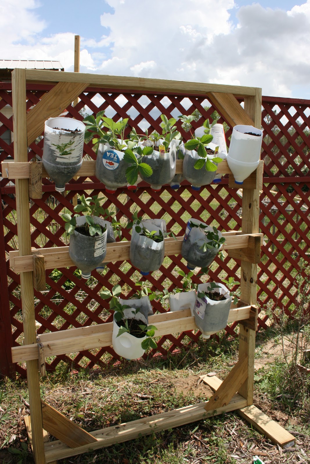 Greenstalk Vertical Garden