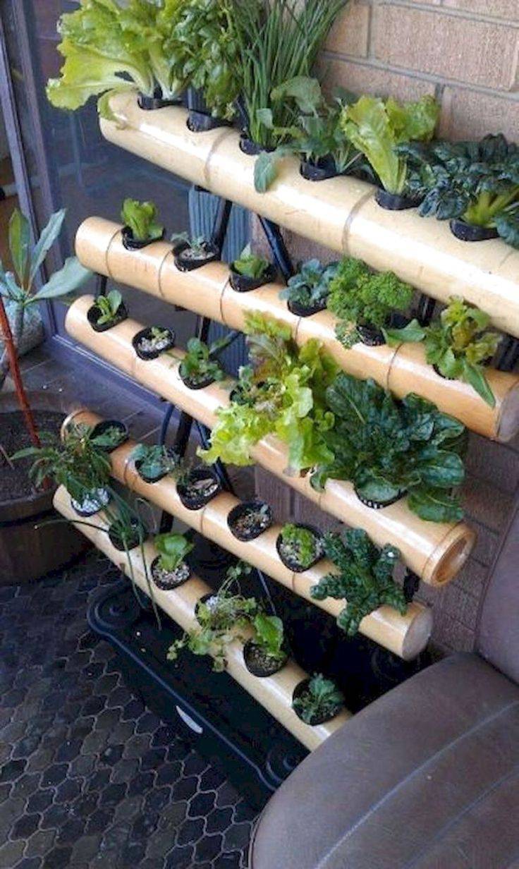 Favourite Vegetable Hydroponic Garden Ideas