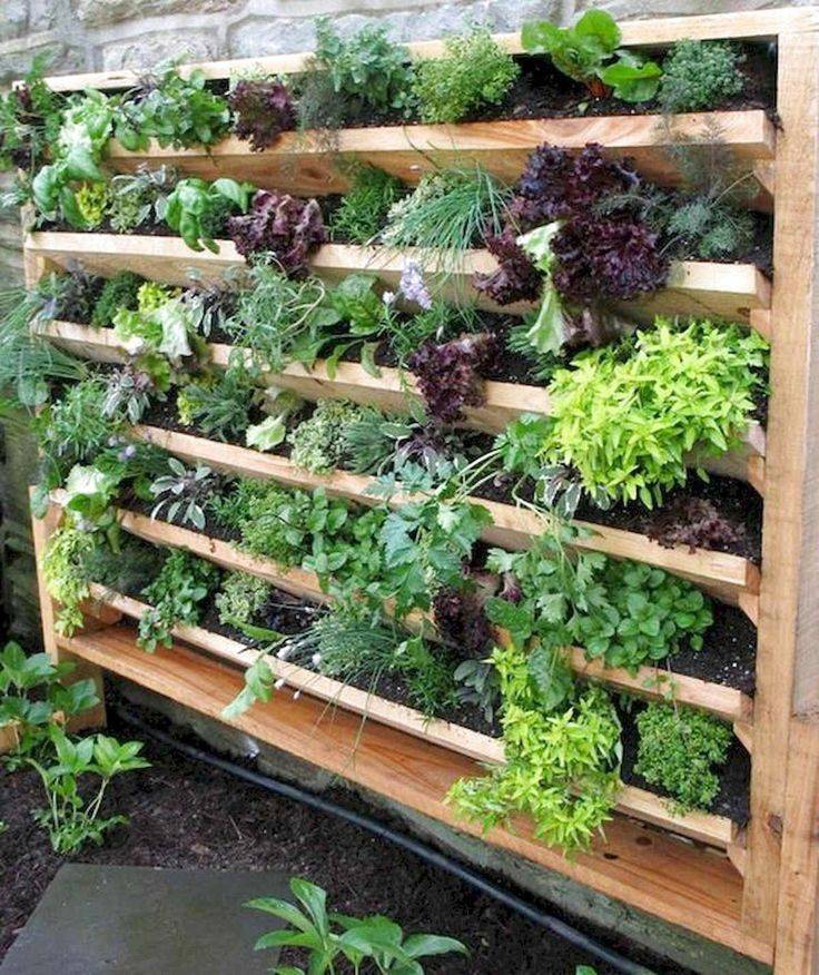 Favourite Vegetable Hydroponic Garden Ideas
