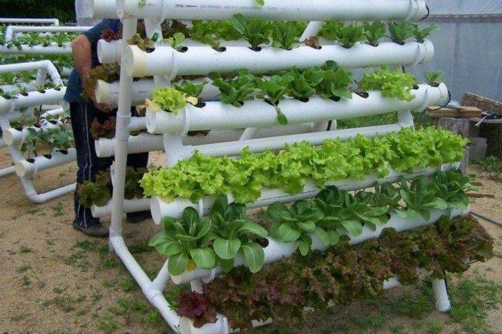Awesome Indoor Hydroponic Wall Garden Design Ideas