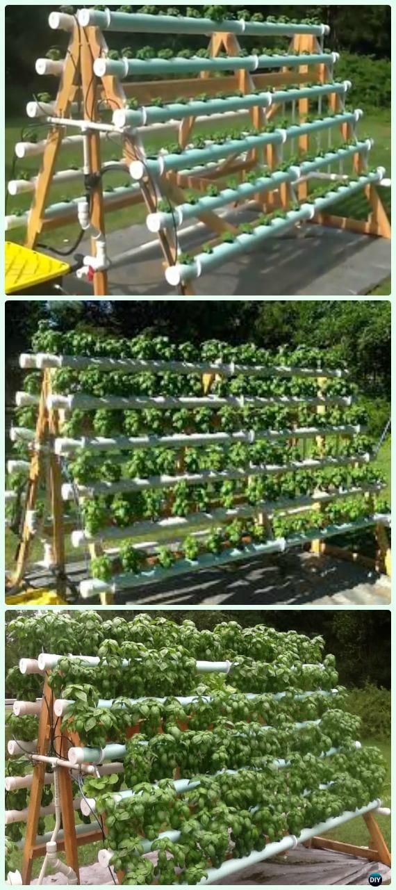 Diy Hydroponic Garden Tower Using Pvc Pipes