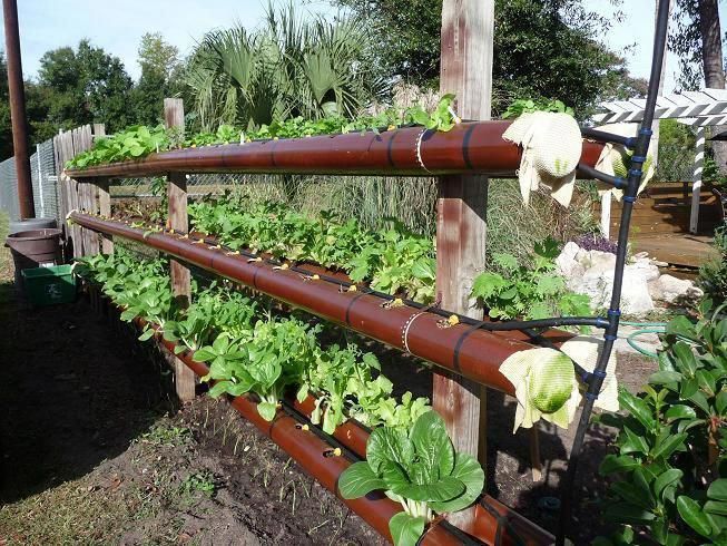 Pvc Hydroponics Unit Diy Instructions Low Budget Diy Pvc Garden