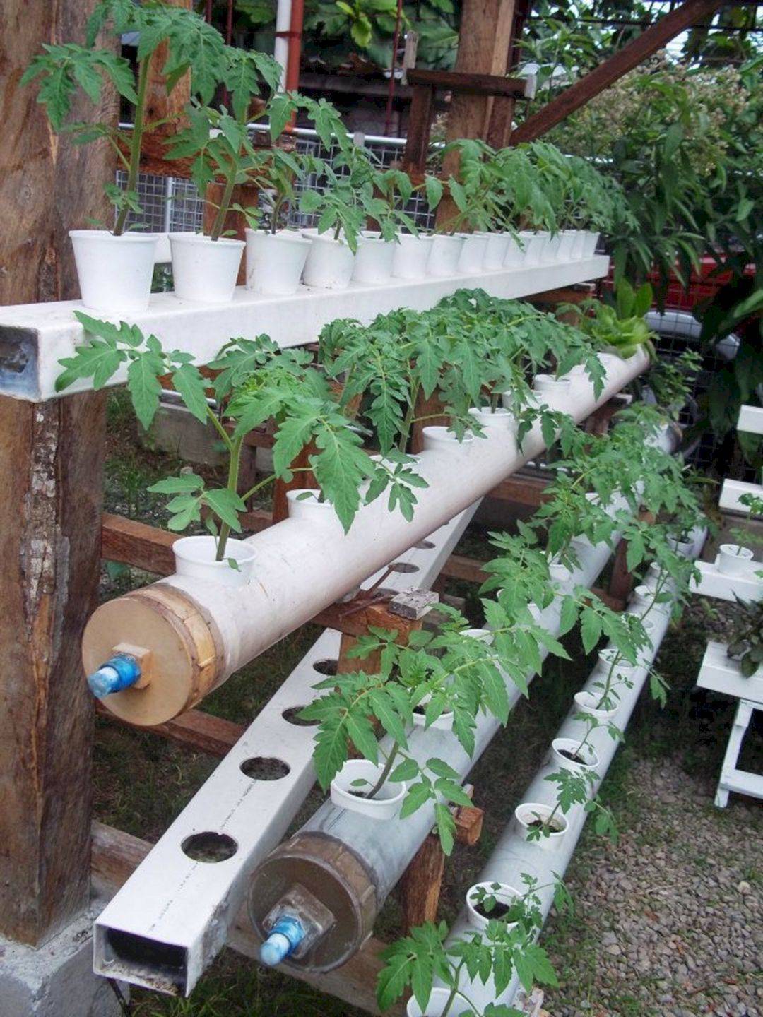 A Hydroponic Indoor Gardening Kit