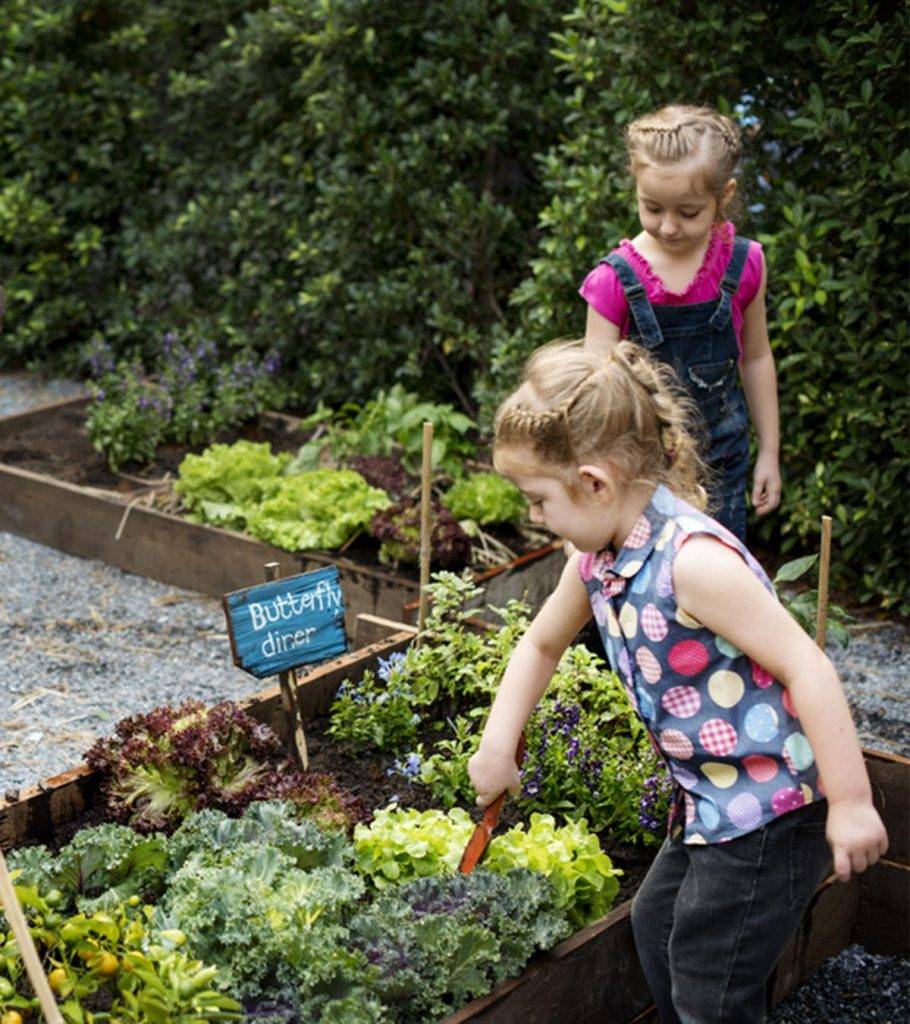 Diy Backyard Gardening Ideas