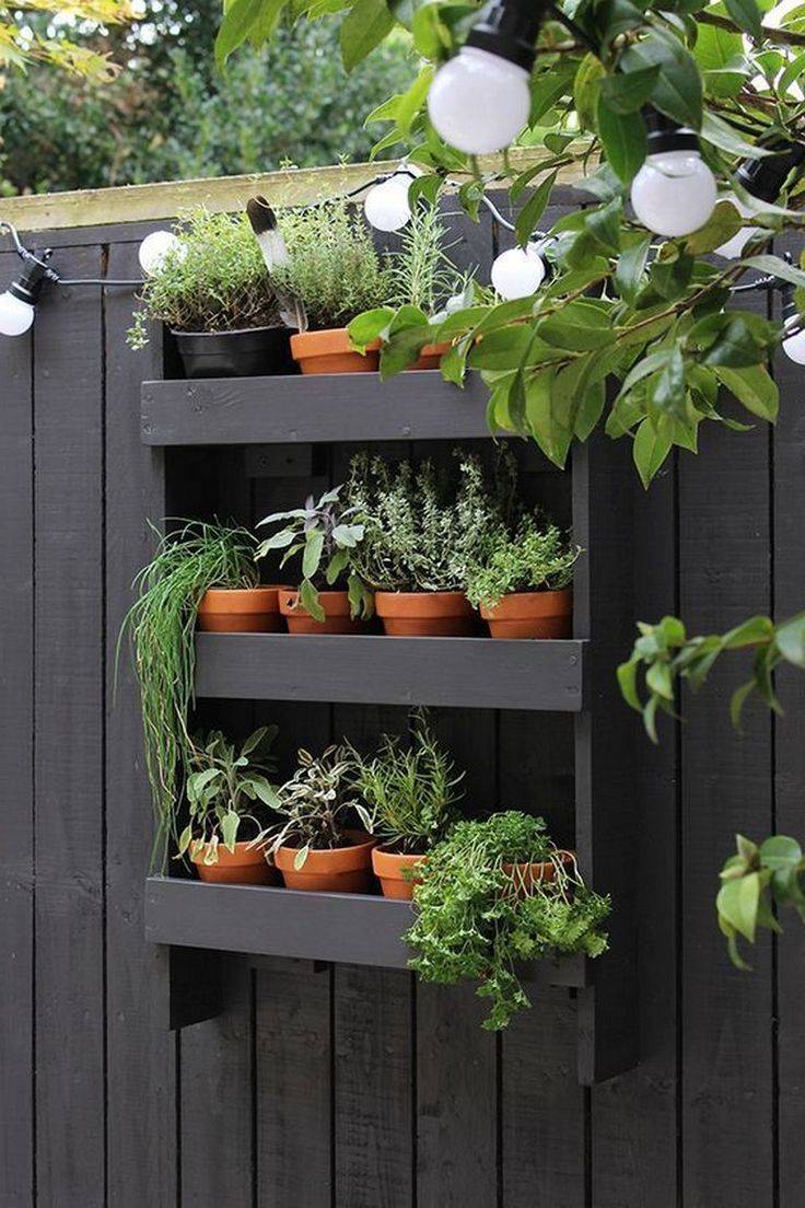 Diy Vertical Herb Garden