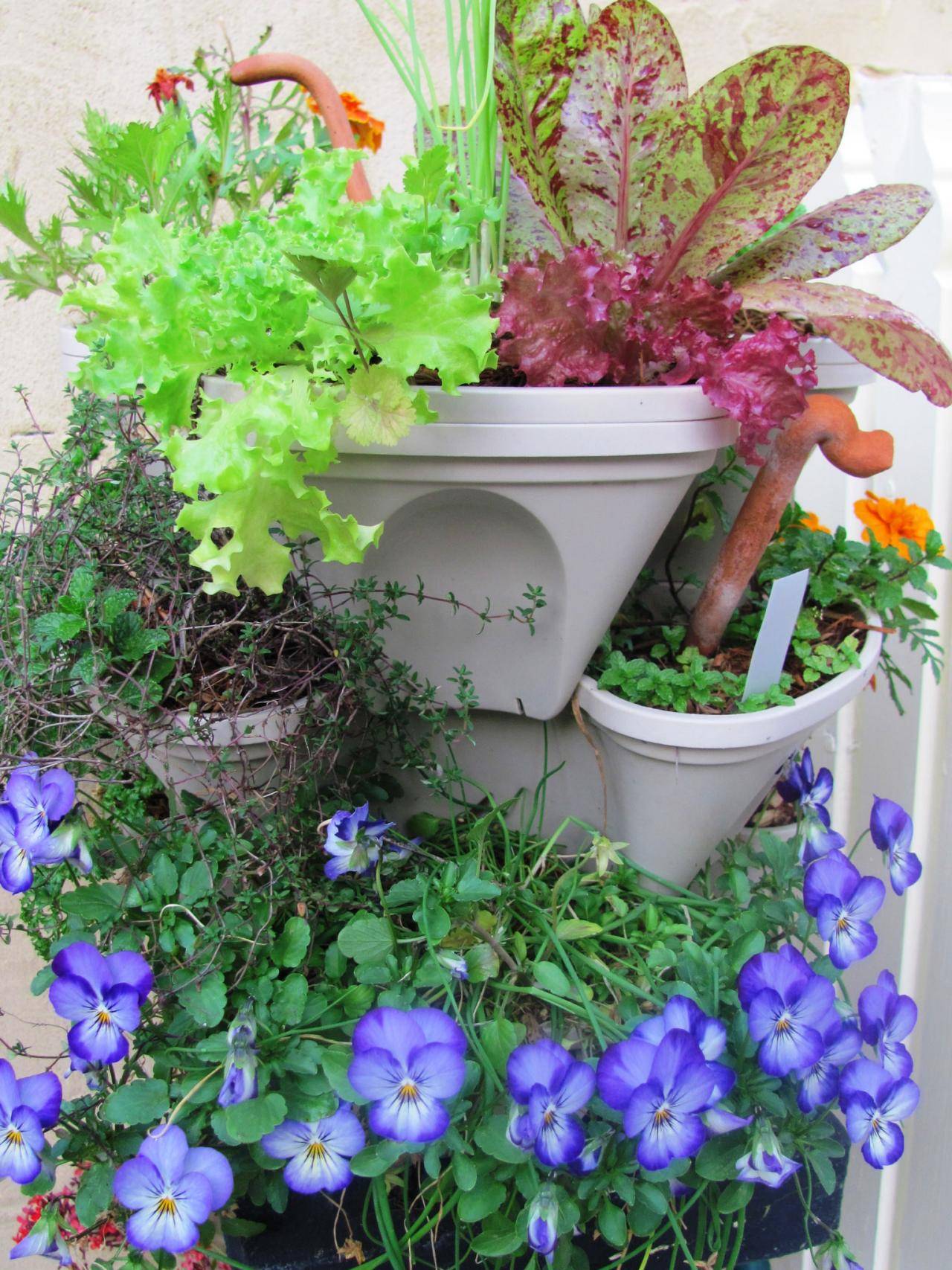 The Best Vertical Gardens