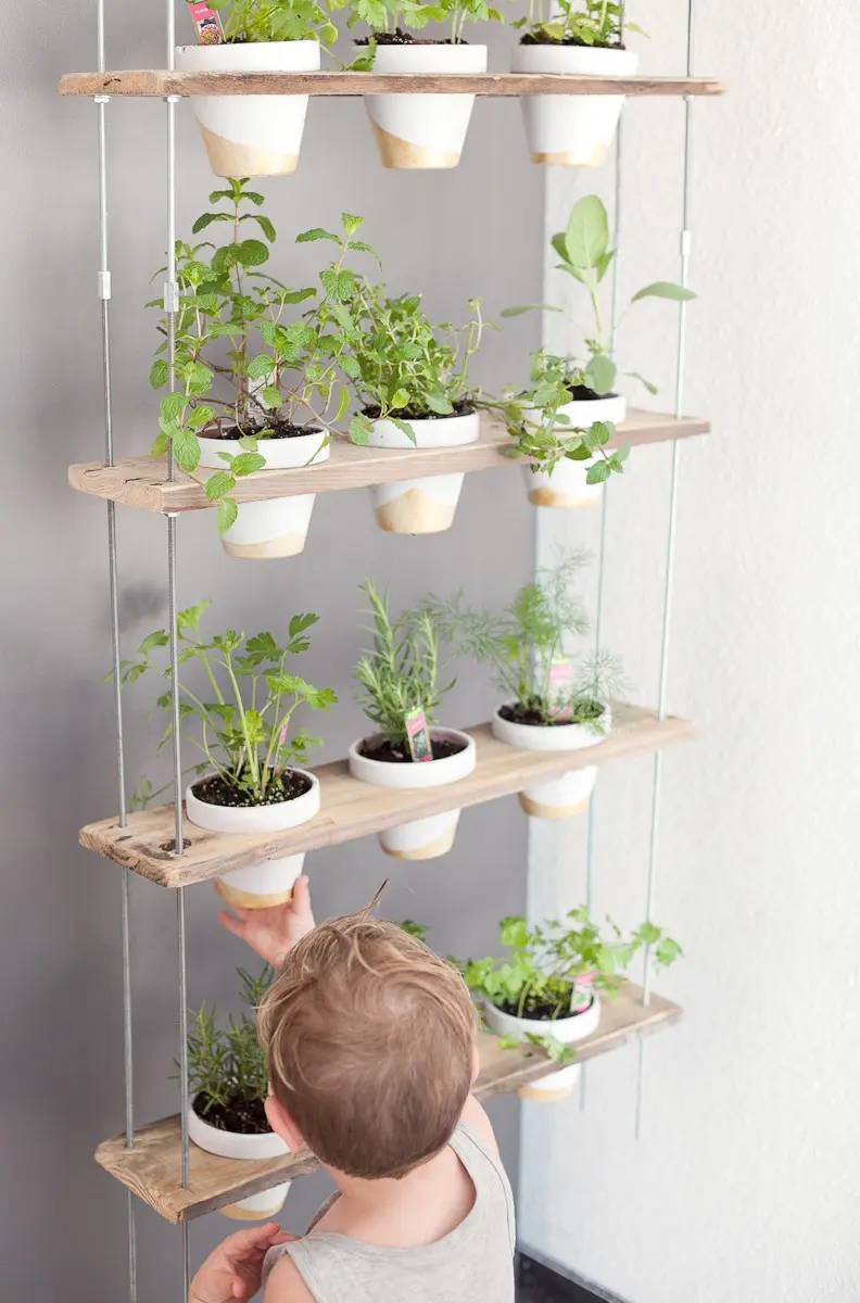 Hanging Fence Herb Garden