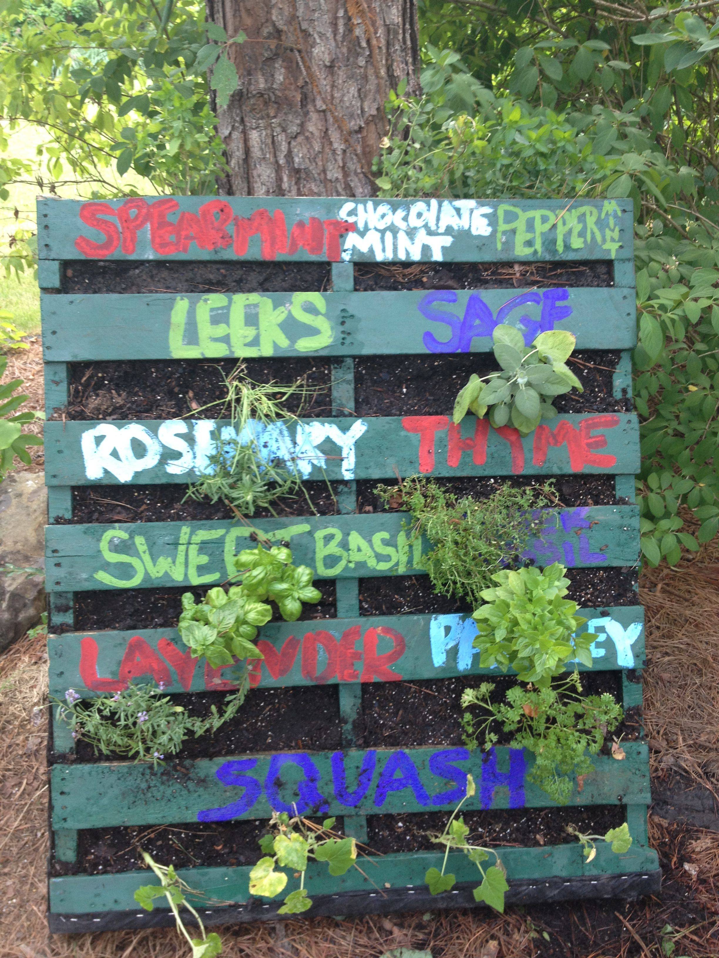 Diy Backyard Gardening Ideas