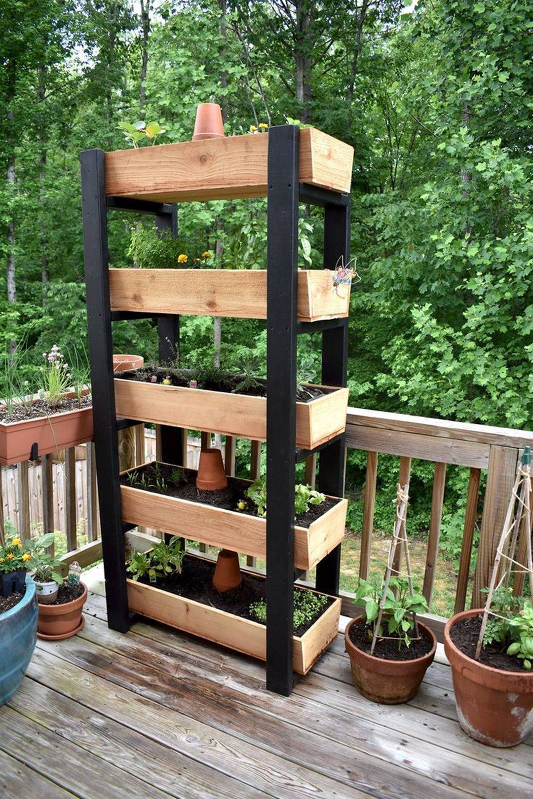 Small Vertical Vegetable Garden Lettuce Herbs Creative Garden Ideas