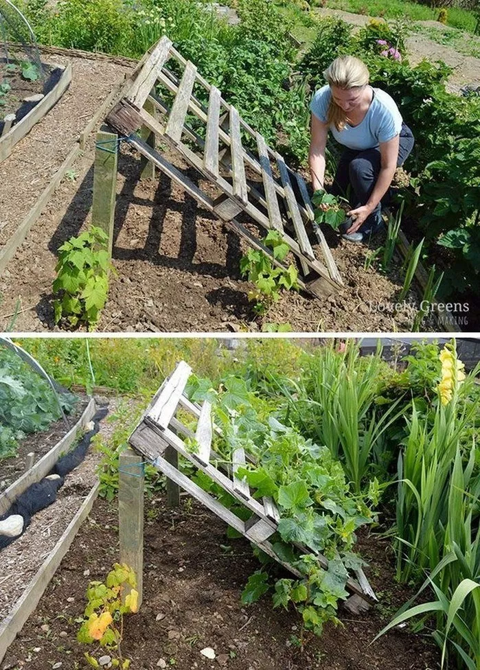Beautiful Diy Backyard Vegetable Garden Ideas Decorecent