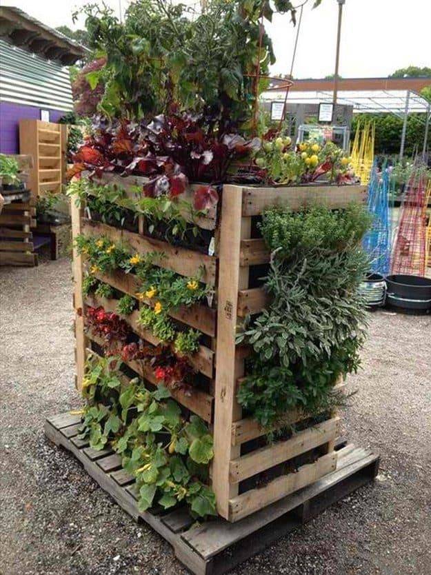 A Pallet Garden Taylor Bradford