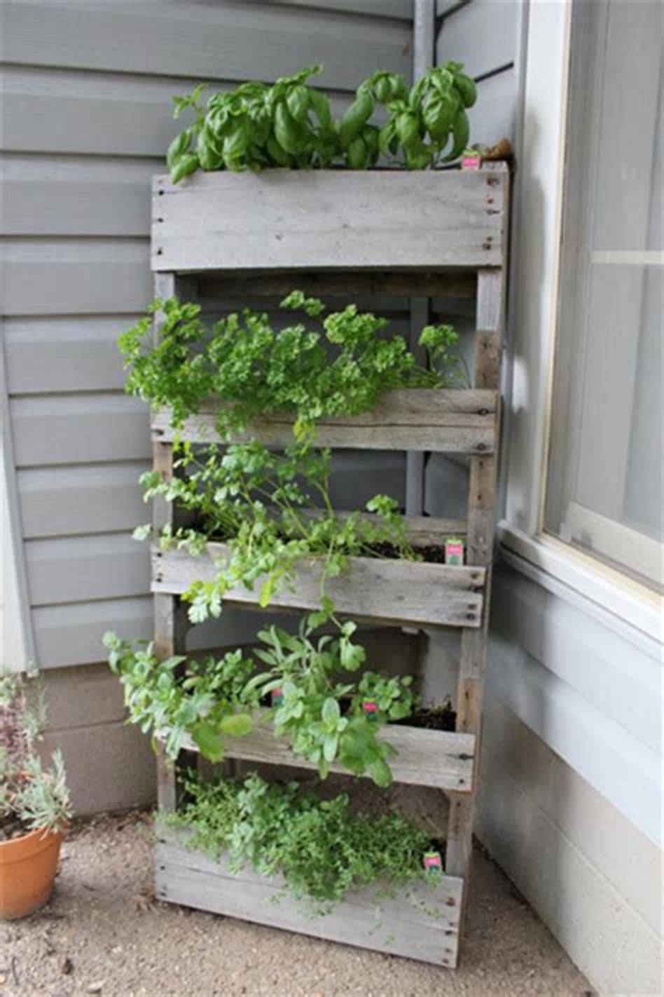 Innovative Diy Pallet Vertical Garden Ideas