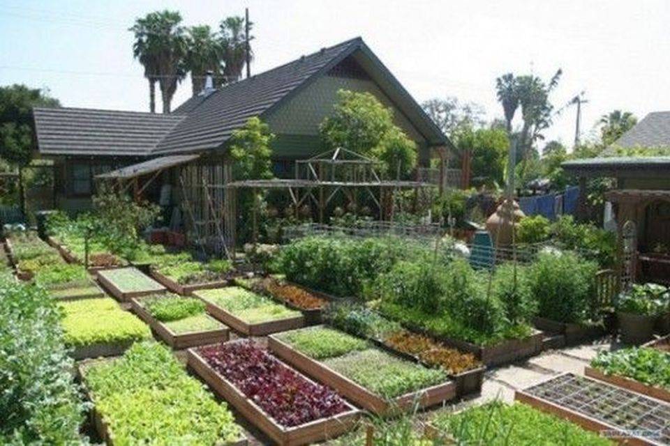 Lovely Homestead Farm Garden Layout