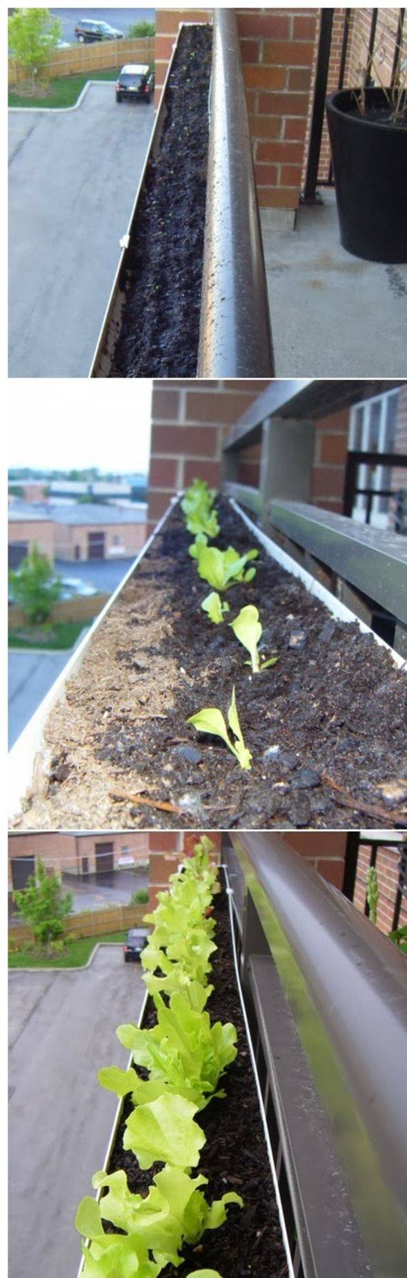 Unique Vertical Gardening Ideas