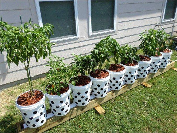 Diy Hanging Gutter Garden