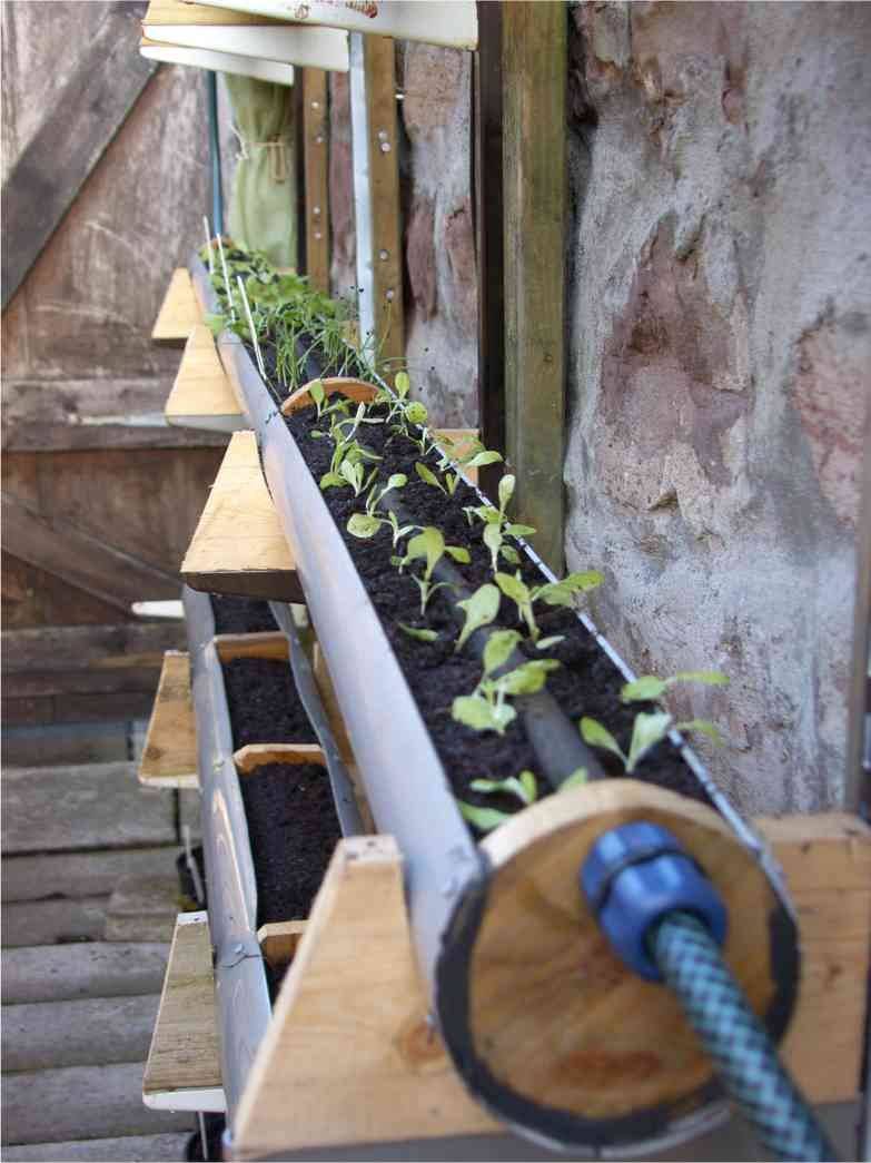 Rain Gutter Gardening