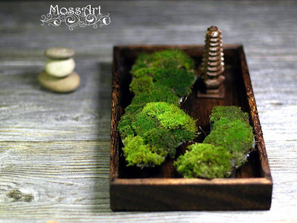 Amazing Minimalist Indoor Zen Garden Design Ideas Mini Garden