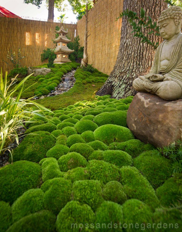 Mini Zen Garden