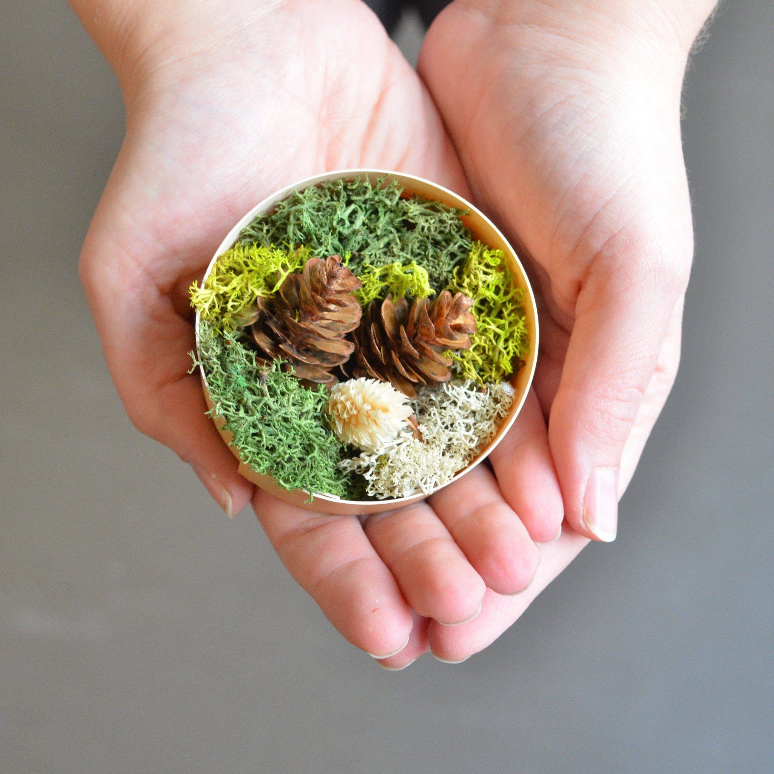 Diy Tabletop Zen Garden Ideas