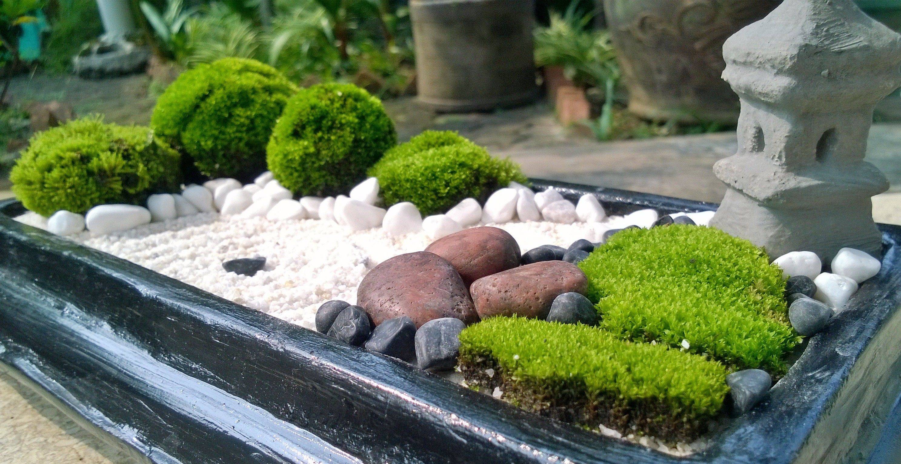 Mirellabruno Mini Zen Garden